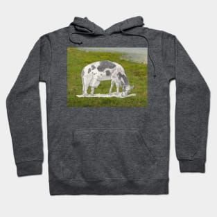 Cow Nibbling on the Grass Hoodie